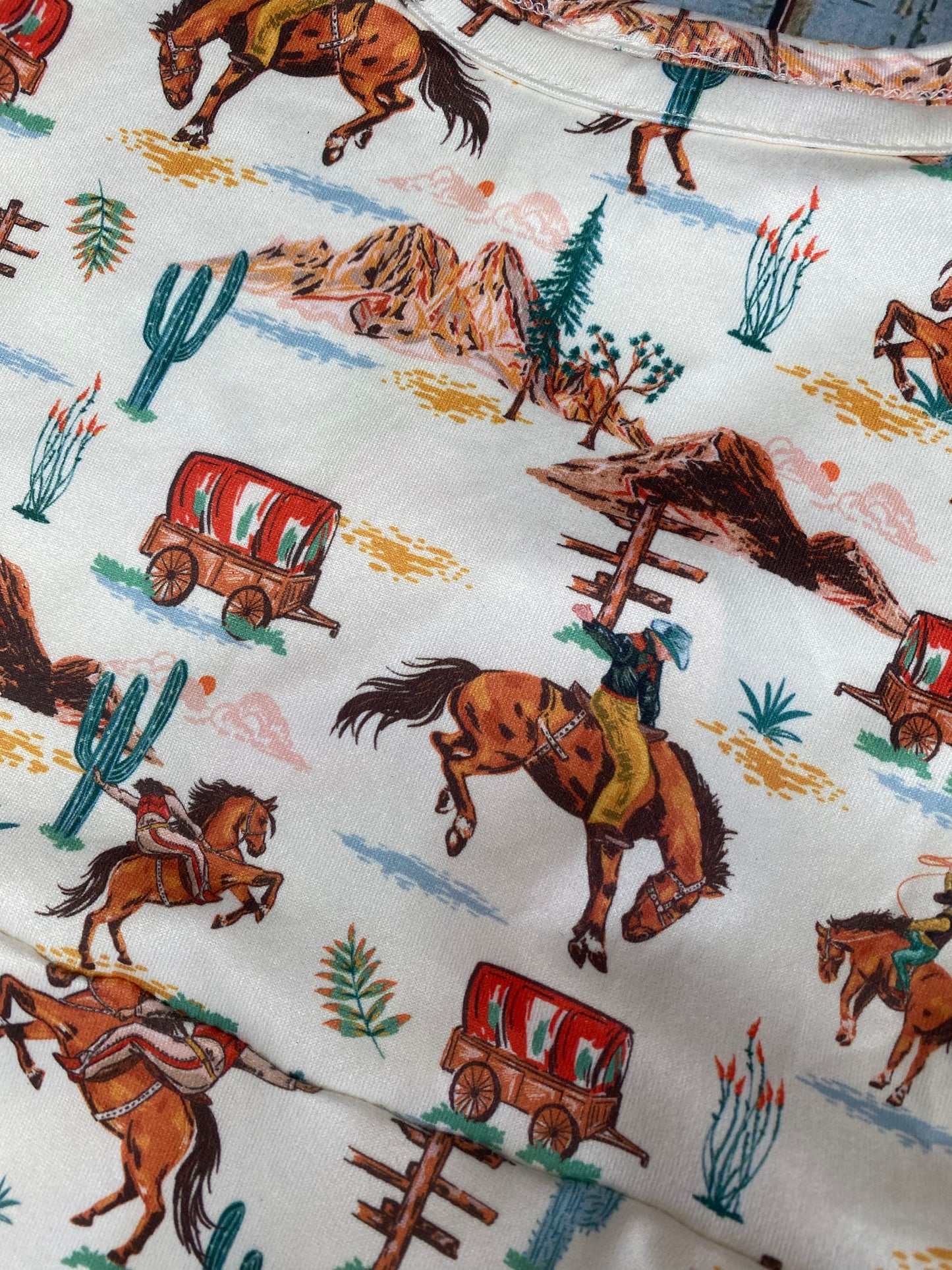 Dreaming of the Rodeo Twirl Dress