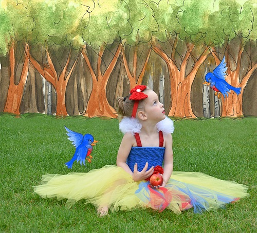 diy snow white tutu dress'></p><p>
	Materials: <br>
	Tulle in Lemon, Red and Royal blue - at least two rolls per color<br>
	Tulle in white - one roll<br>
	8 inch crochet headband - 1 in royal blue<br>
	Shabby bow headband - 1 in red<br>
	Satin & Lace floral sash - 1 in red<br>
	7/8 inch ribbon - 1 in red and 1 in blue<br>
	3/8 inch ribbon - 1 yellow<br>
	Scissors<br>
	Fabric glue - I like E6000 or Aleene's 