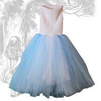 Alice in Wonderland Tutu Dress on white background