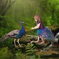 Magical Peacock Tutu Dress DIY on child