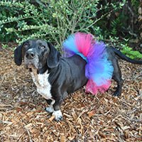 Troll Doggie Tutu DIY on dog