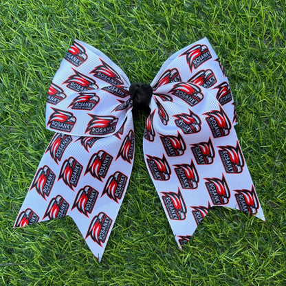 Custom printed Rosansky cheer bows on grass
