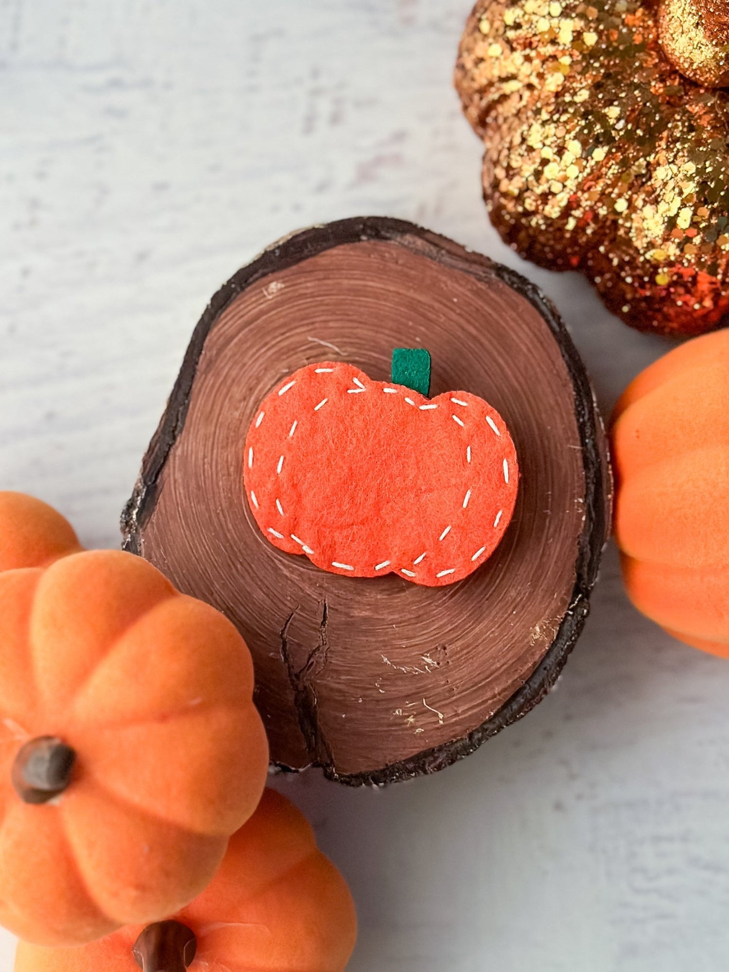 Decorative pumpkin patch with a small pumpkin on a wooden log against a light background