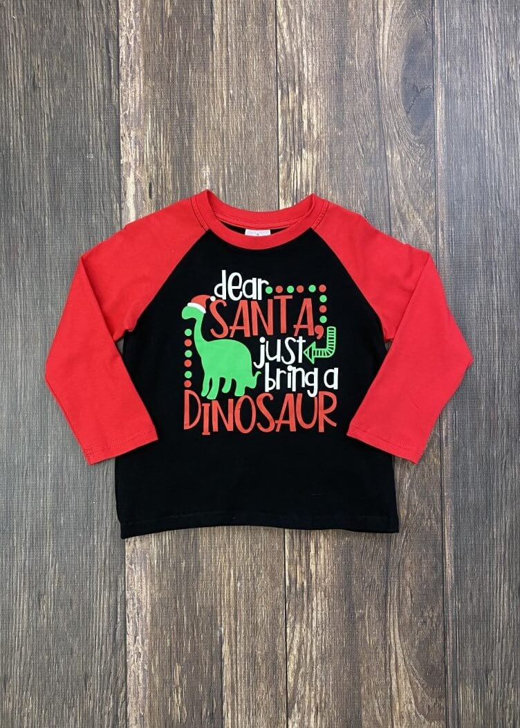 Just Bring A Dinosaur Raglan Shirt